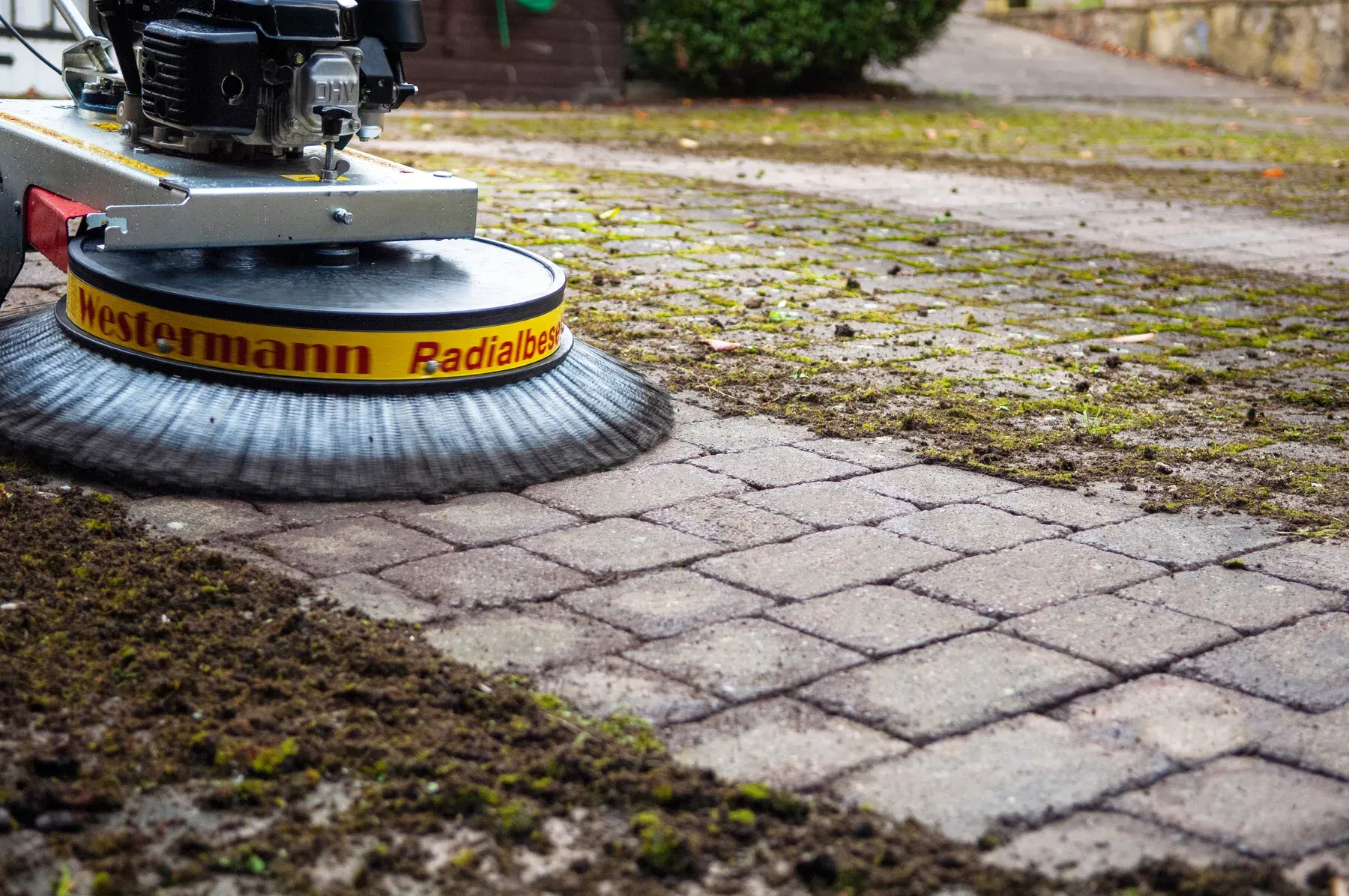 A rotary sweeper lifting moss out of the joints of block paving, cleared paving behind it and moss still packed ahead