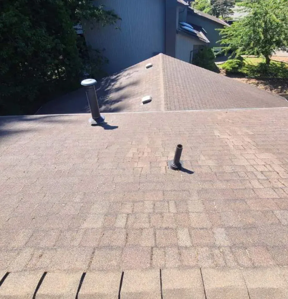 A low-pitch asphalt shingle roof in full sun with two vent stacks
