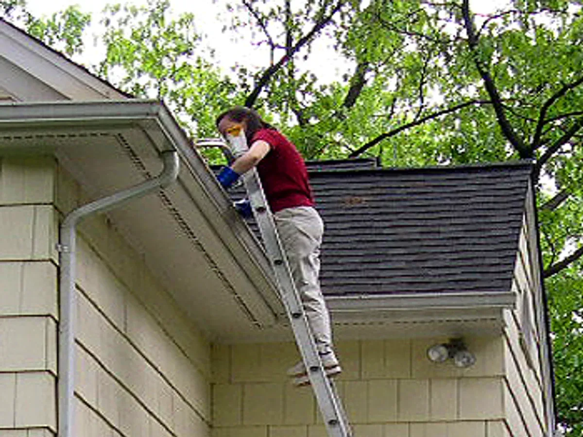 A two-storey house with an extension ladder set at the roof edge