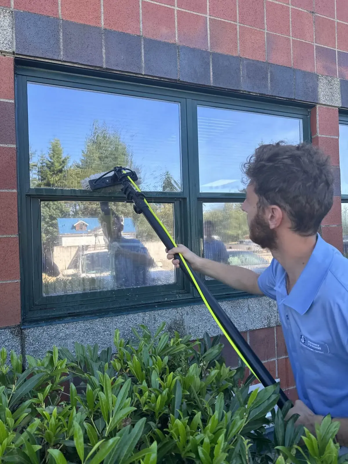 Cleaning a window frame and glass with a brush on a water-fed extension pole